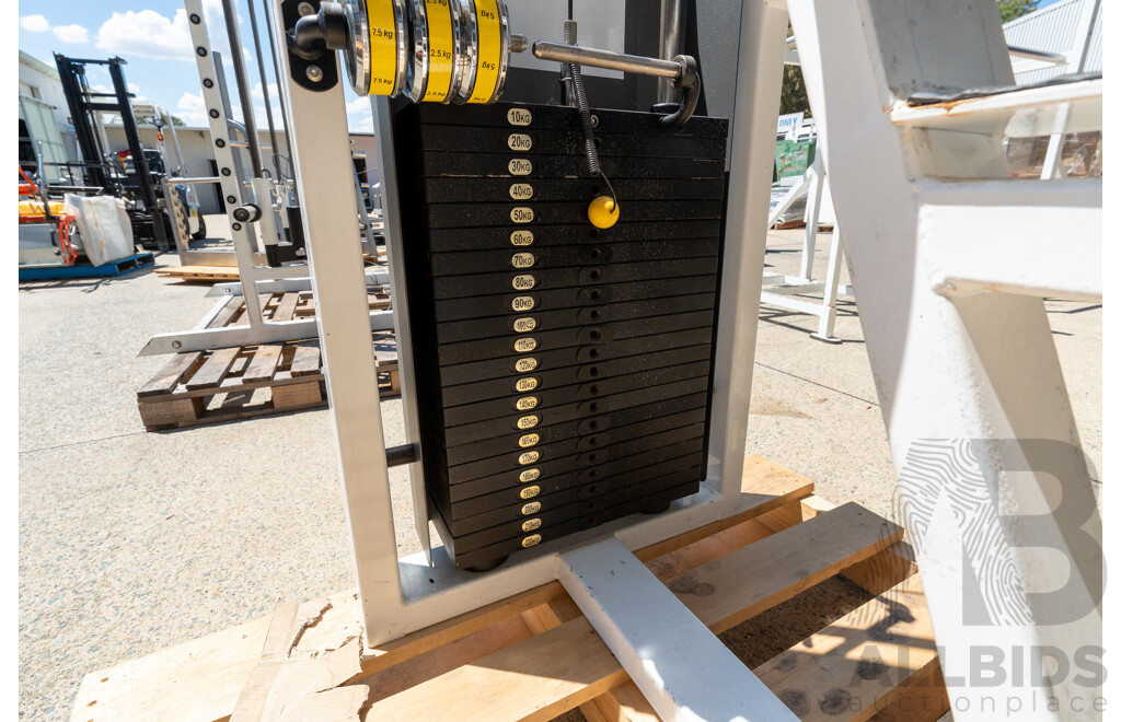 Maxim Platinum Commerical Pin Loaded Cable Row