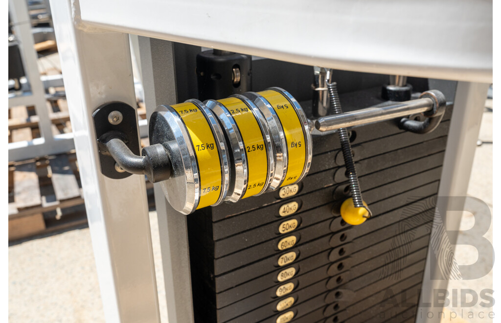 Maxim Platinum Commerical Pin Loaded Cable Row