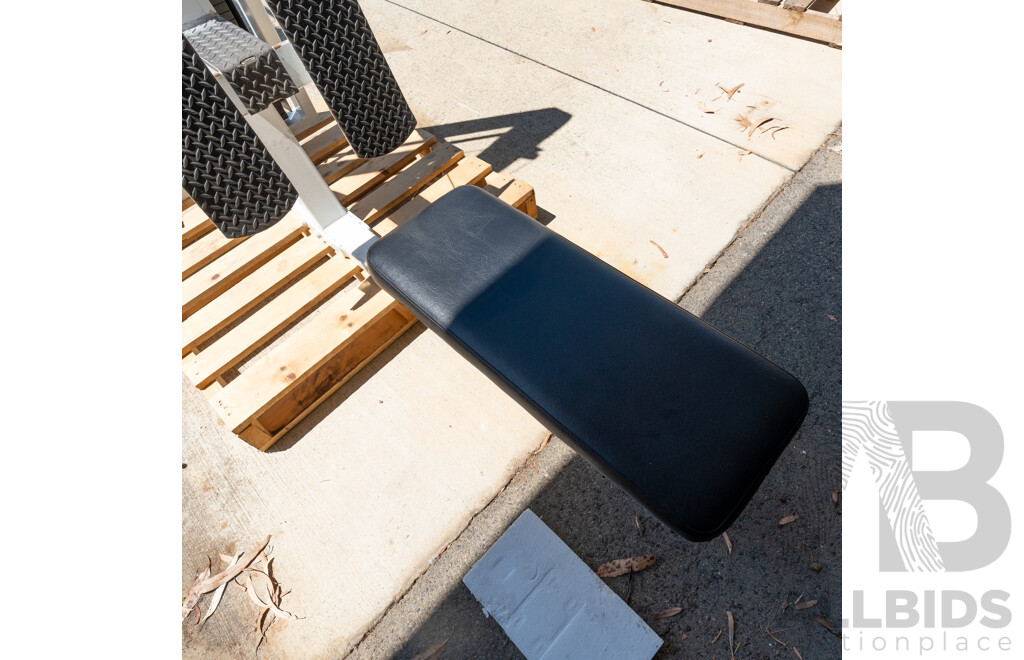 Maxim Platinum Commerical Pin Loaded Cable Row