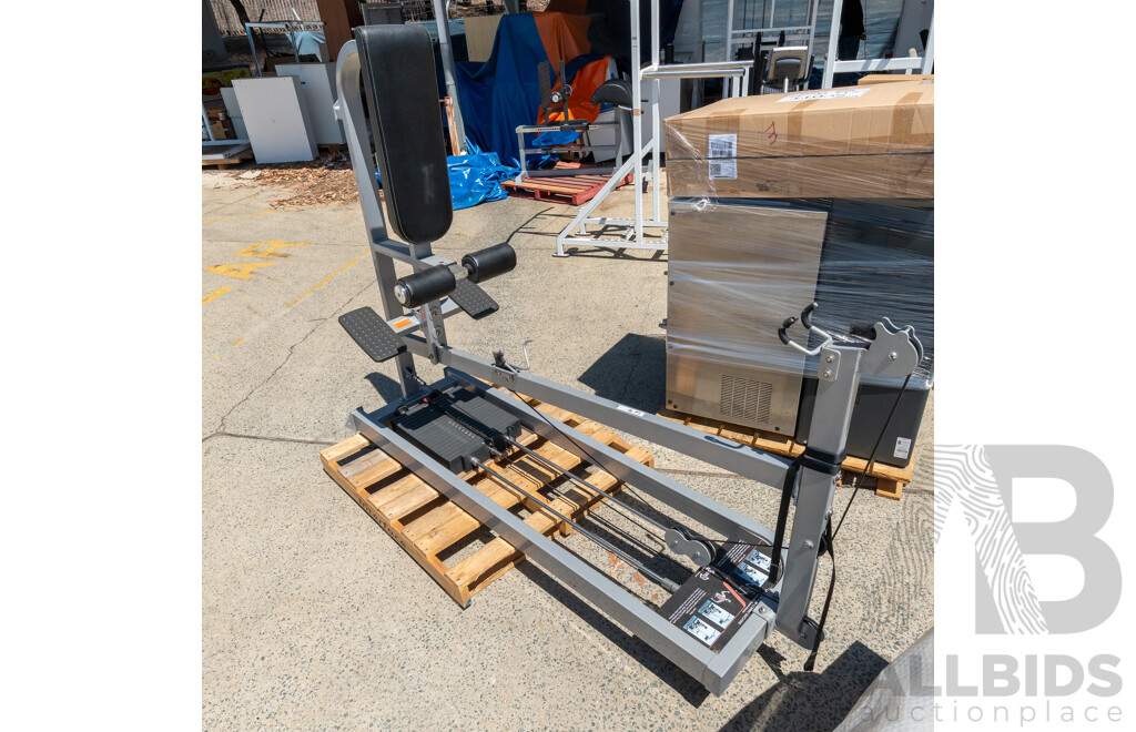 MuscleD Commerical Pin Loaded Lat / Low Row Combo