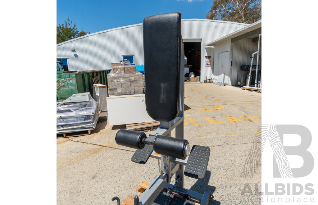 MuscleD Commerical Pin Loaded Lat / Low Row Combo