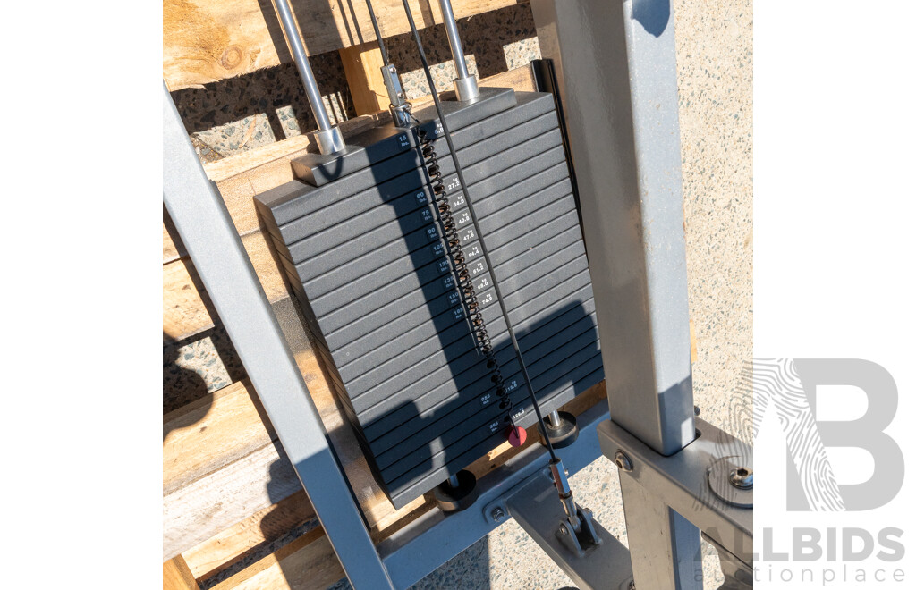 MuscleD Commerical Pin Loaded Lat / Low Row Combo