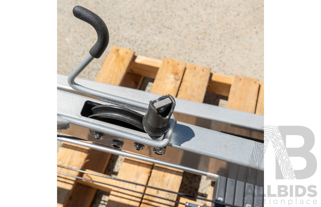 MuscleD Commerical Pin Loaded Lat / Low Row Combo