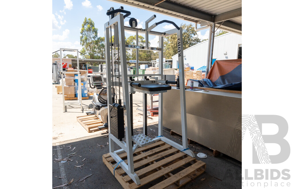 Calgym Commerical Assisted Pin Loaded Chin / Dip