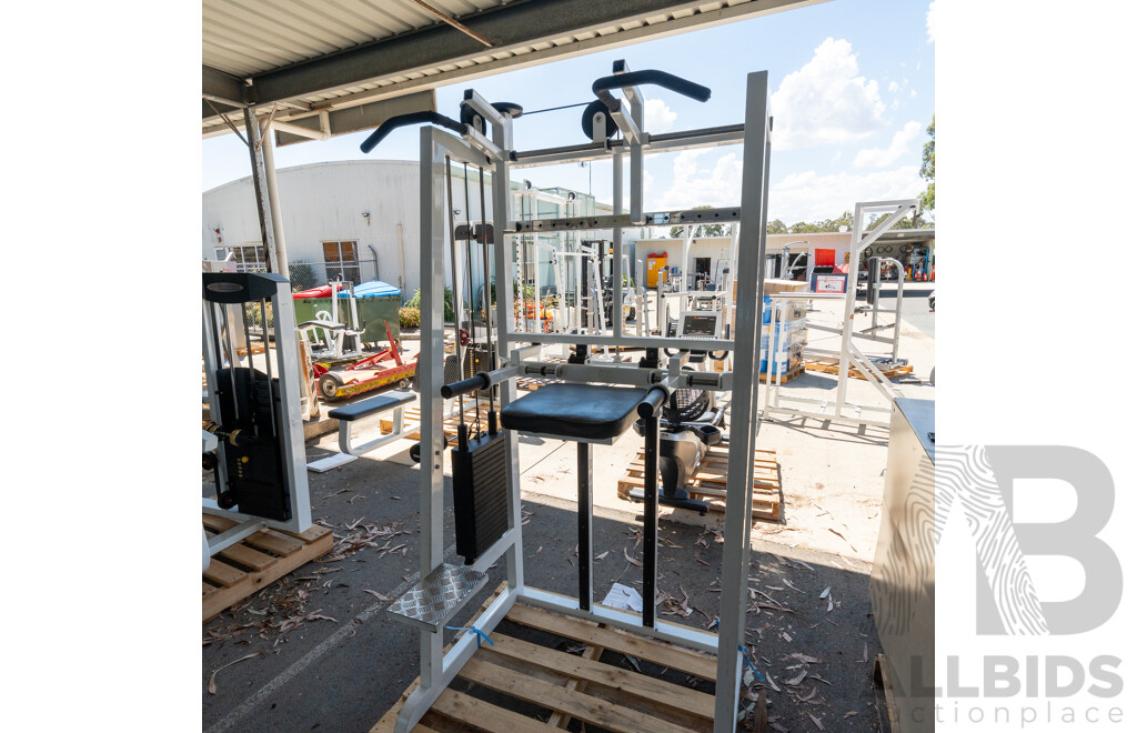 Calgym Commerical Assisted Pin Loaded Chin / Dip