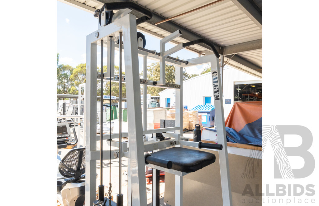 Calgym Commerical Assisted Pin Loaded Chin / Dip