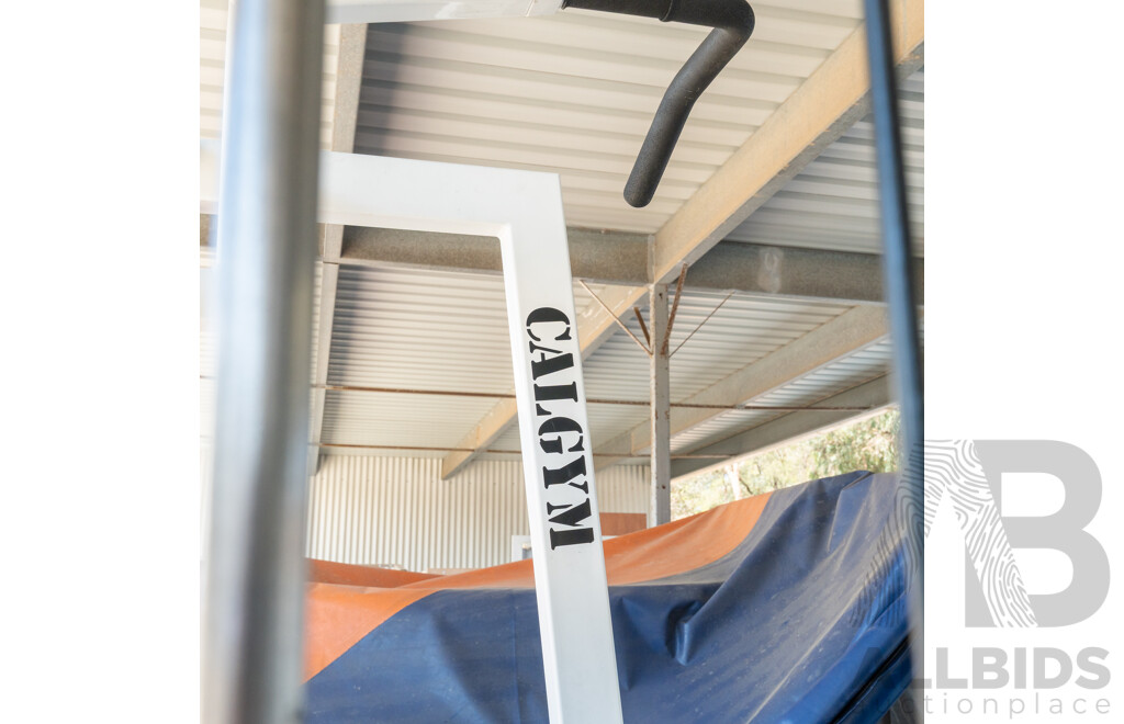 Calgym Commerical Assisted Pin Loaded Chin / Dip