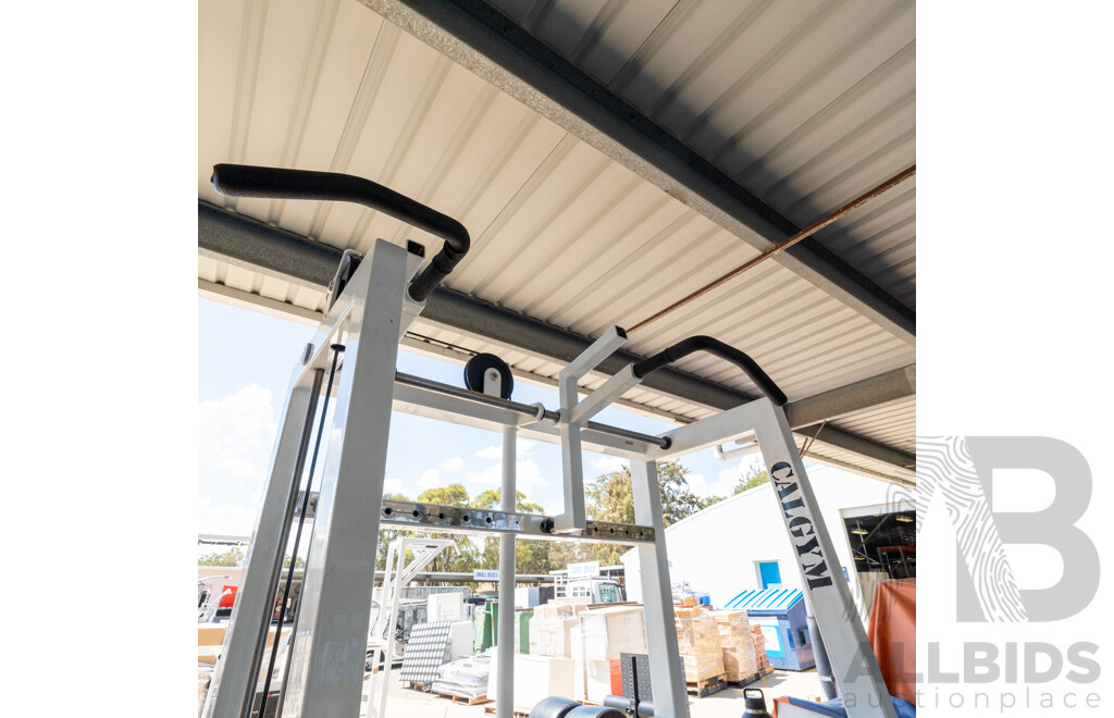 Calgym Commerical Assisted Pin Loaded Chin / Dip