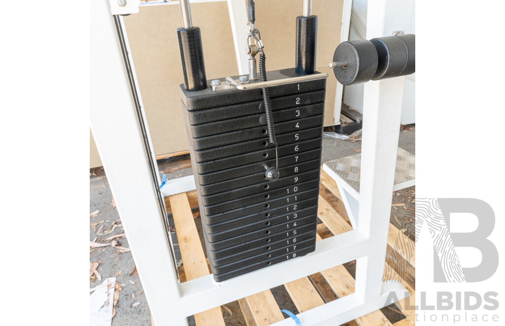 Calgym Commerical Assisted Pin Loaded Chin / Dip