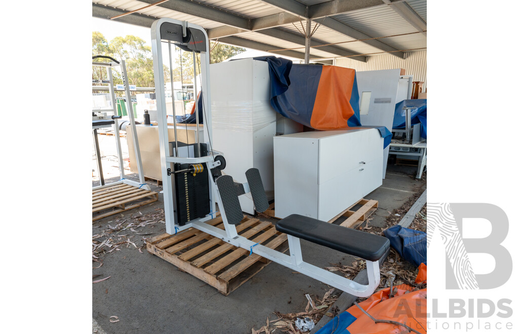 Maxim Platinum Commerical Pin Loaded Cable Row