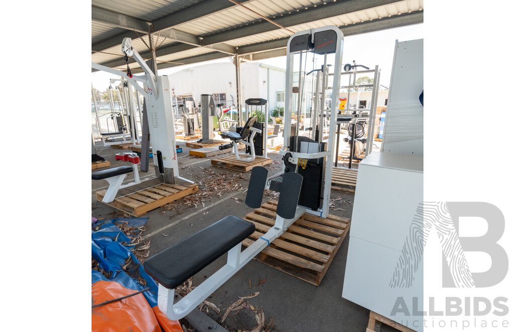 Maxim Platinum Commerical Pin Loaded Cable Row