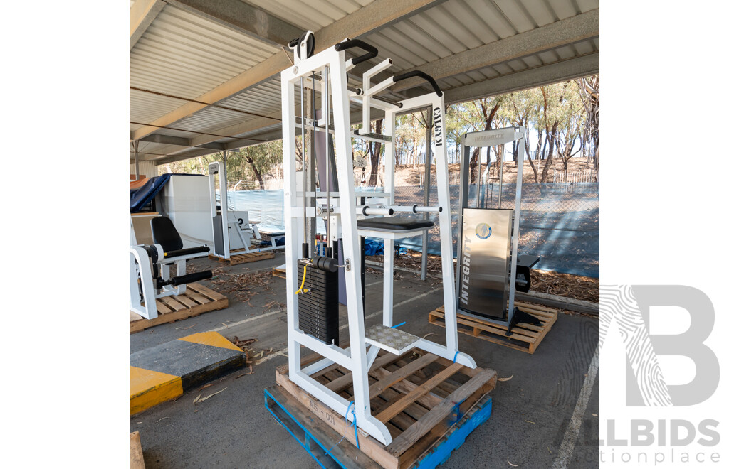 Calgym Commerical Assisted Pin Loaded Chin / Dip