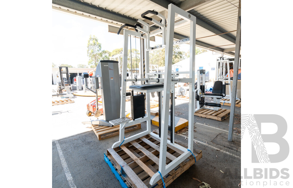 Calgym Commerical Assisted Pin Loaded Chin / Dip