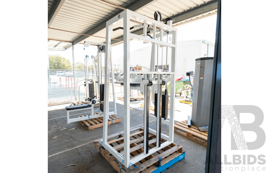 Calgym Commerical Assisted Pin Loaded Chin / Dip