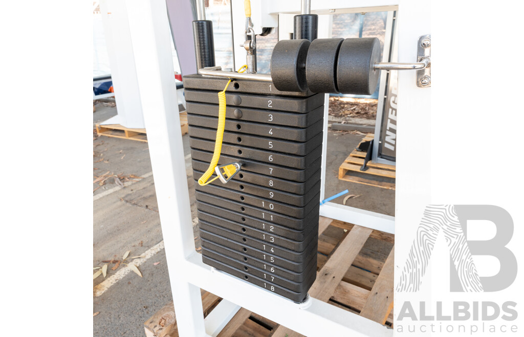 Calgym Commerical Assisted Pin Loaded Chin / Dip