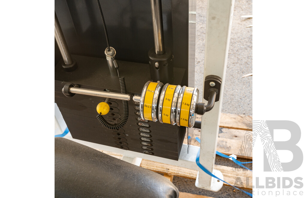 Maxim Platinum Commercial Lat Pulldown