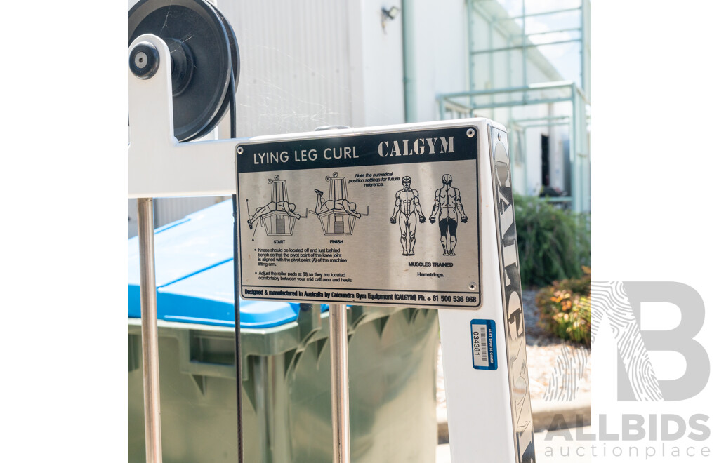 Calgym Commerical Cable Lying Leg Curl