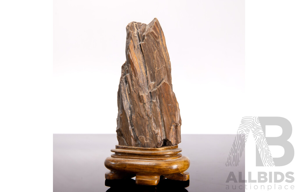 Chinese Petrified Wood Scholar's Rock