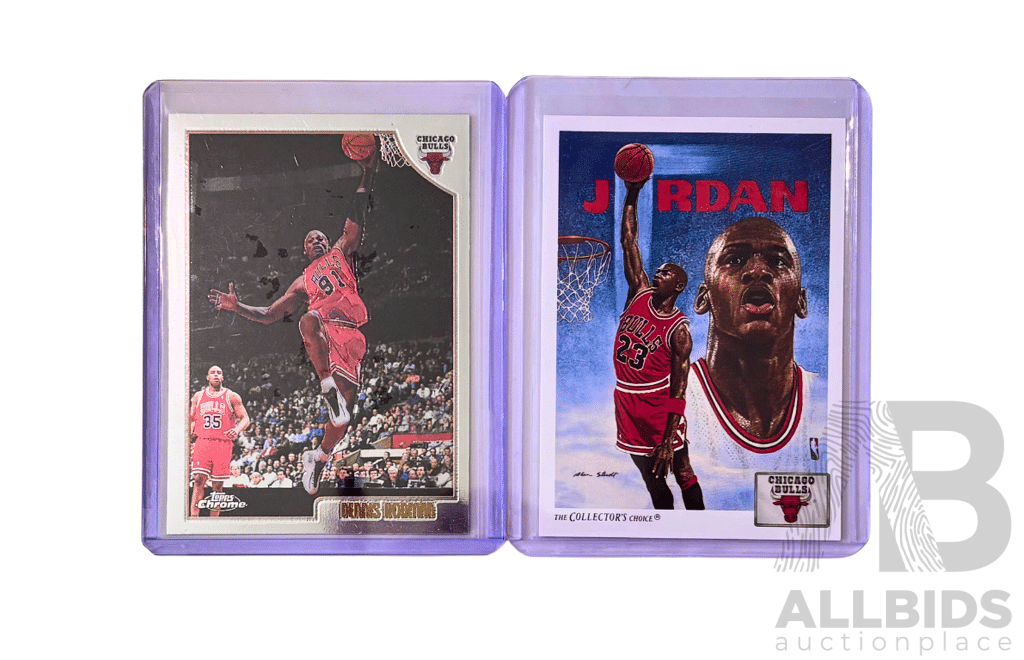 Michael Jordan & Dennis Rodman Chicago Bulls Era Pair