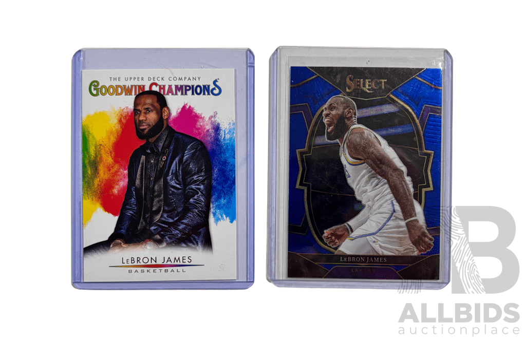 LeBron James Upper Deck Goodwin & Select 2 Card Lot