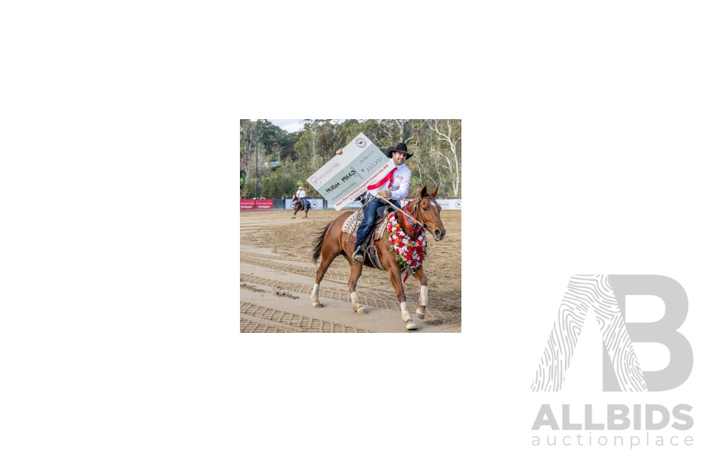 LIVE AUCTION 1 - Willinga Park Gold Buckle Campdraft Event 2026