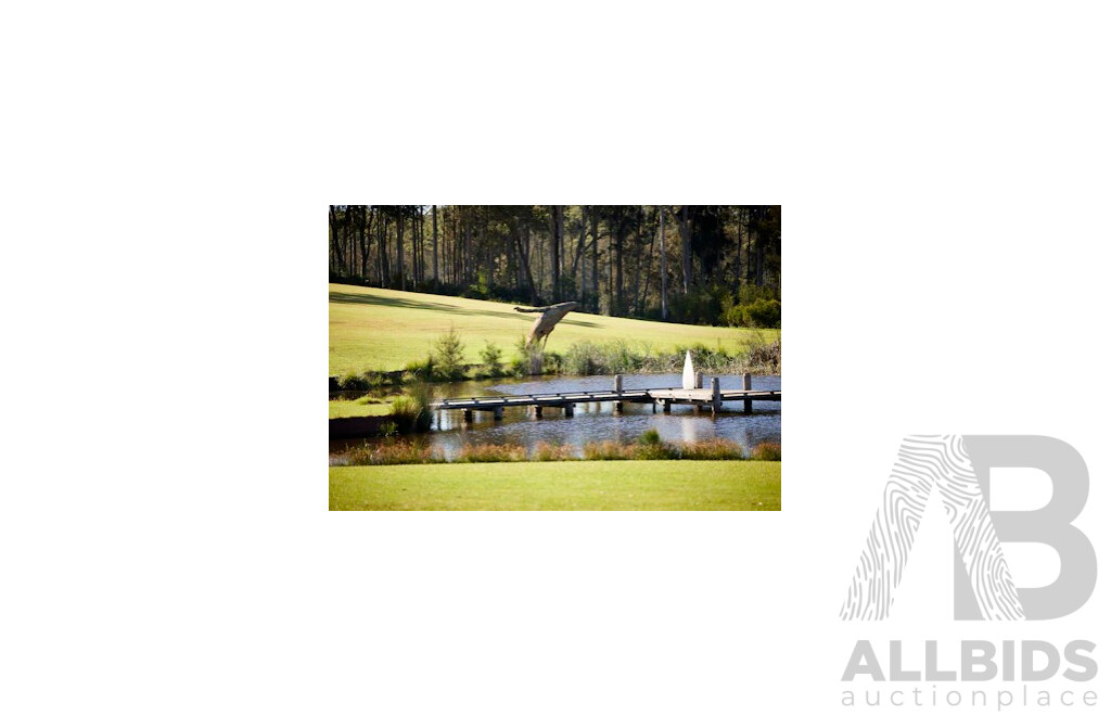 LIVE AUCTION 1 - Willinga Park Gold Buckle Campdraft Event 2026