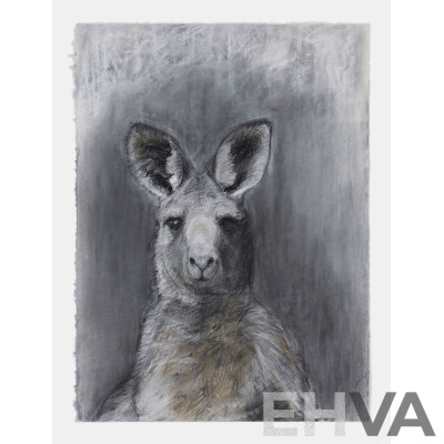 L64 - Framed Charcoal Drawing of Kangaroo by Sally Simpson