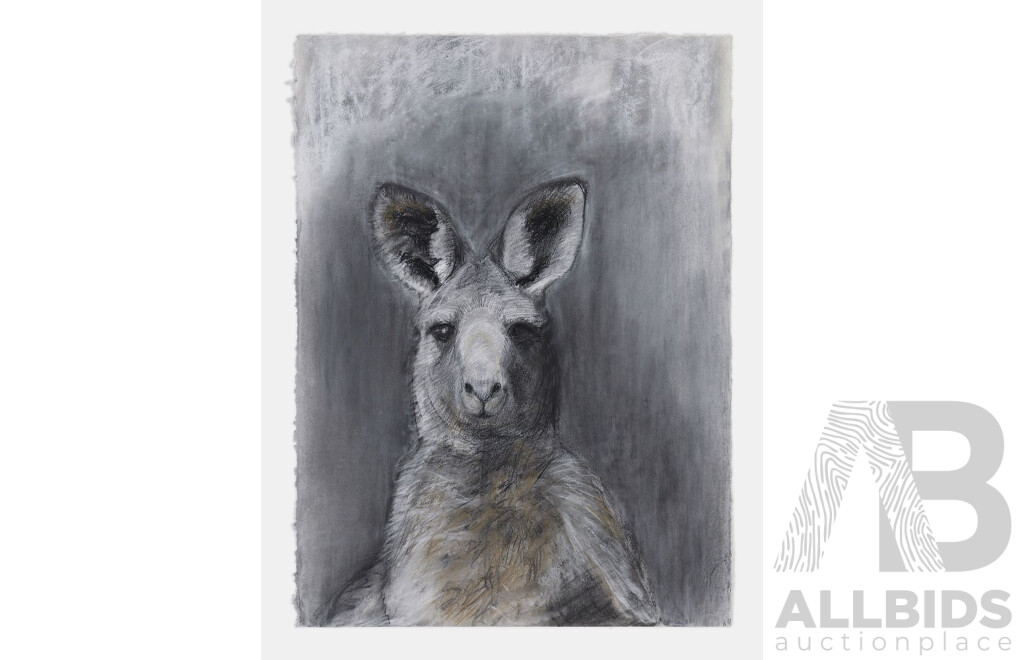 L64 - Framed Charcoal Drawing of Kangaroo by Sally Simpson