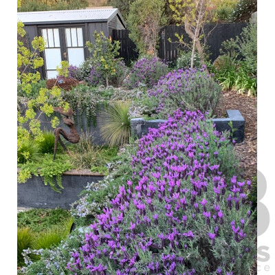 L105 - Garden and Horticulture Consultation