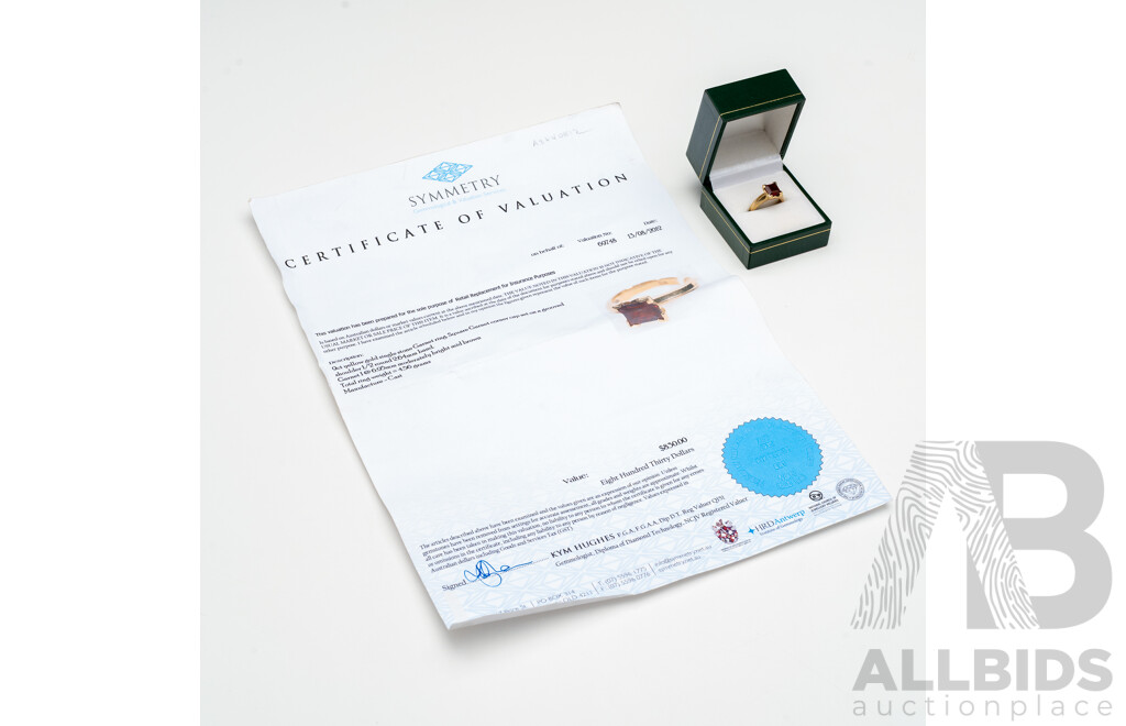 9ct Yellow Gold Solitaire Ring with Princess Cut Garnet - Size K