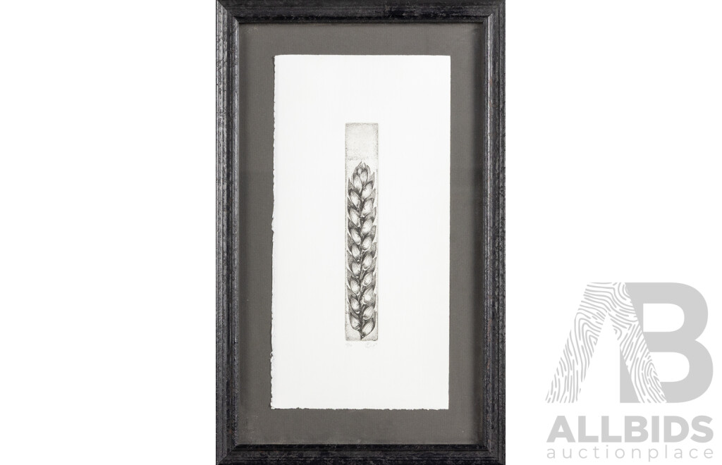 Artist Unknown, (20th Century), Botanical Study (2010), Signed and Editioned Original Etching, 49 x 31 cm (frame)