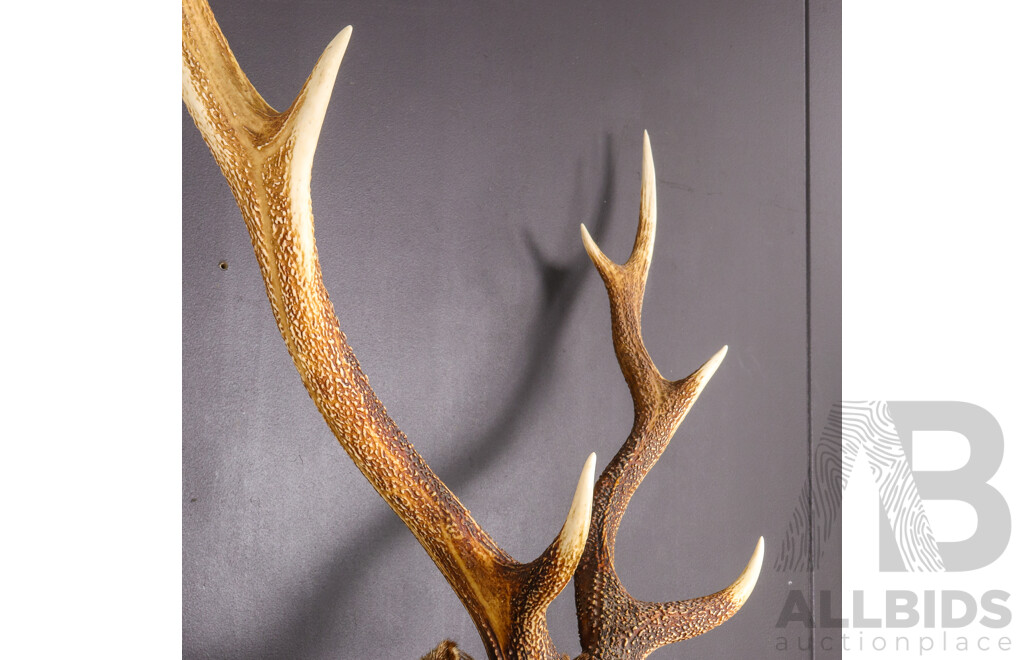 Vintage Taxidermy Shoulder Mount Sika Deer