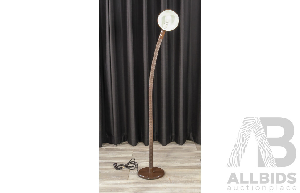 Oslo Snake Neck Floor Lamp in Mission Brown