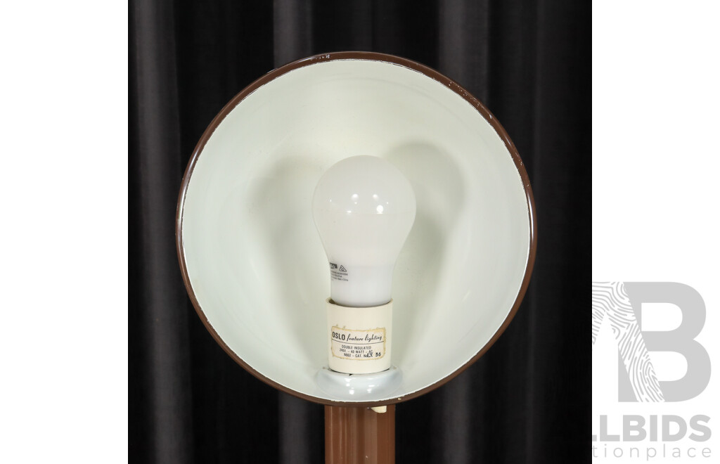 Oslo Snake Neck Floor Lamp in Mission Brown