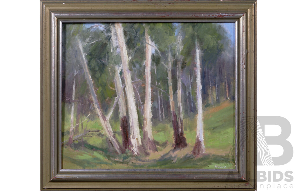 Frances Duffy (20th Century, Australian,1927-1996), Gum Trees, Wonderful Oil on Canvas, 65 x 75 cm