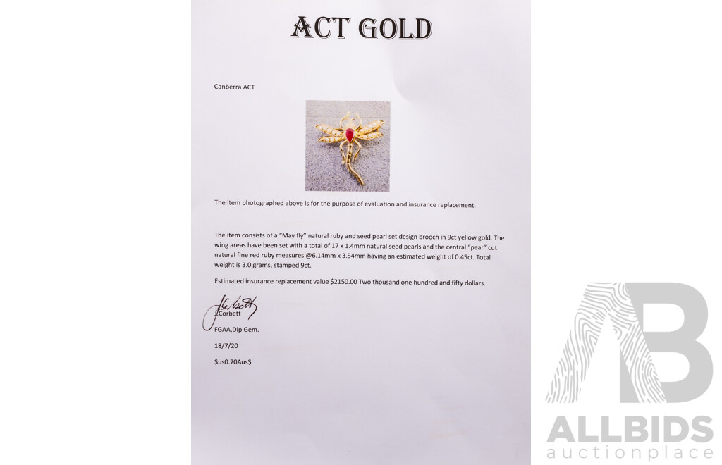 9ct Yellow Gold Dragonfly Brooch with Ruby & Pearls with Valuation