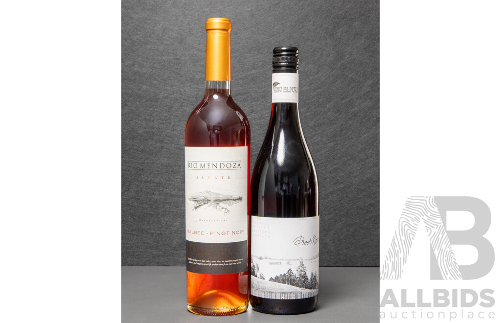 Rio Mendoza Pinot Noir Vintage 2012 and Angelicus Pinot Noir Vintage 2008 (2)