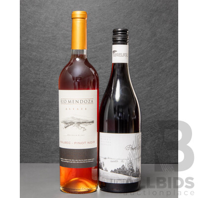 Rio Mendoza Pinot Noir Vintage 2012 and Angelicus Pinot Noir Vintage 2008 (2)