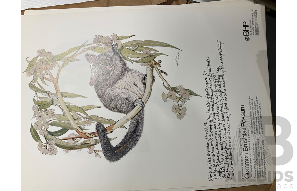 Collection of Books and Articles Relating to B.H.P Including Australians in Company, BHP in It's 100th Year, Three B.H.P 75 Years Hard Cover Books and More