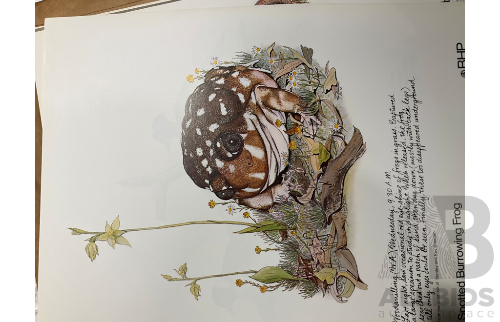 Collection of Books and Articles Relating to B.H.P Including Australians in Company, BHP in It's 100th Year, Three B.H.P 75 Years Hard Cover Books and More