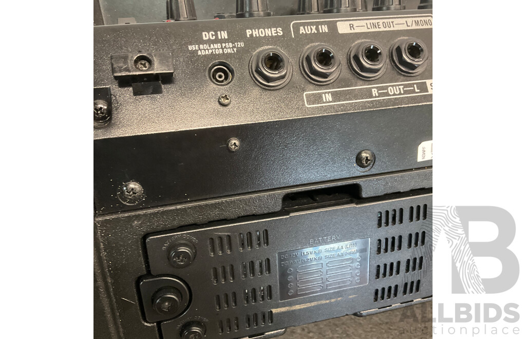 ROLAND CUBE Street EX  Amplifier