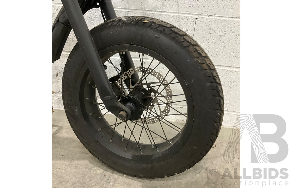 Fat-tire Electric Bike