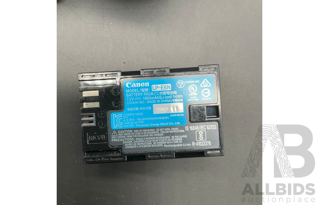 CANON EOS 5D Mark IV with CANON EF 20-105mm Lens