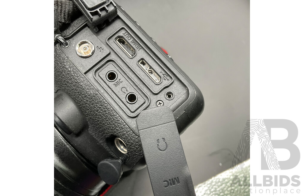 CANON EOS 5D Mark IV with CANON EF 20-105mm Lens