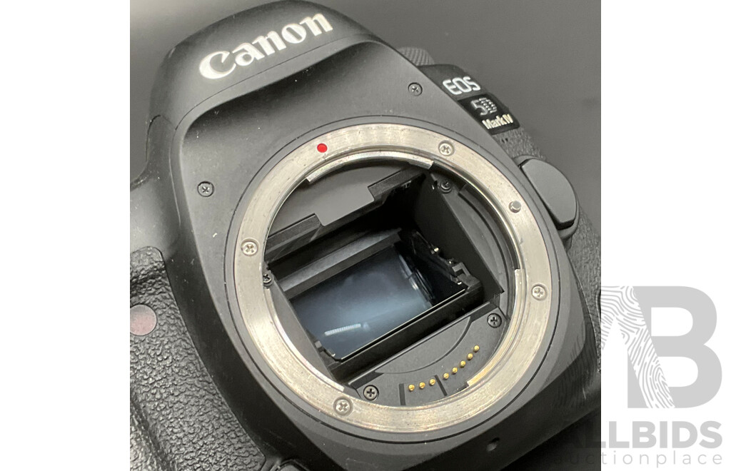 CANON EOS 5D Mark IV with CANON EF 20-105mm Lens