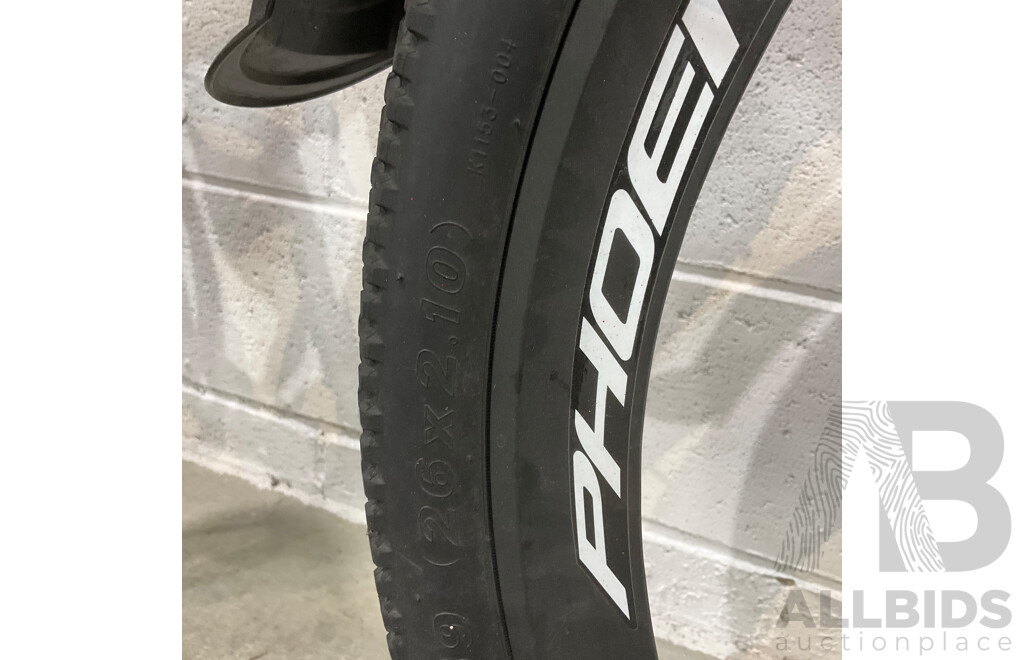 PHONIX Electric Bike