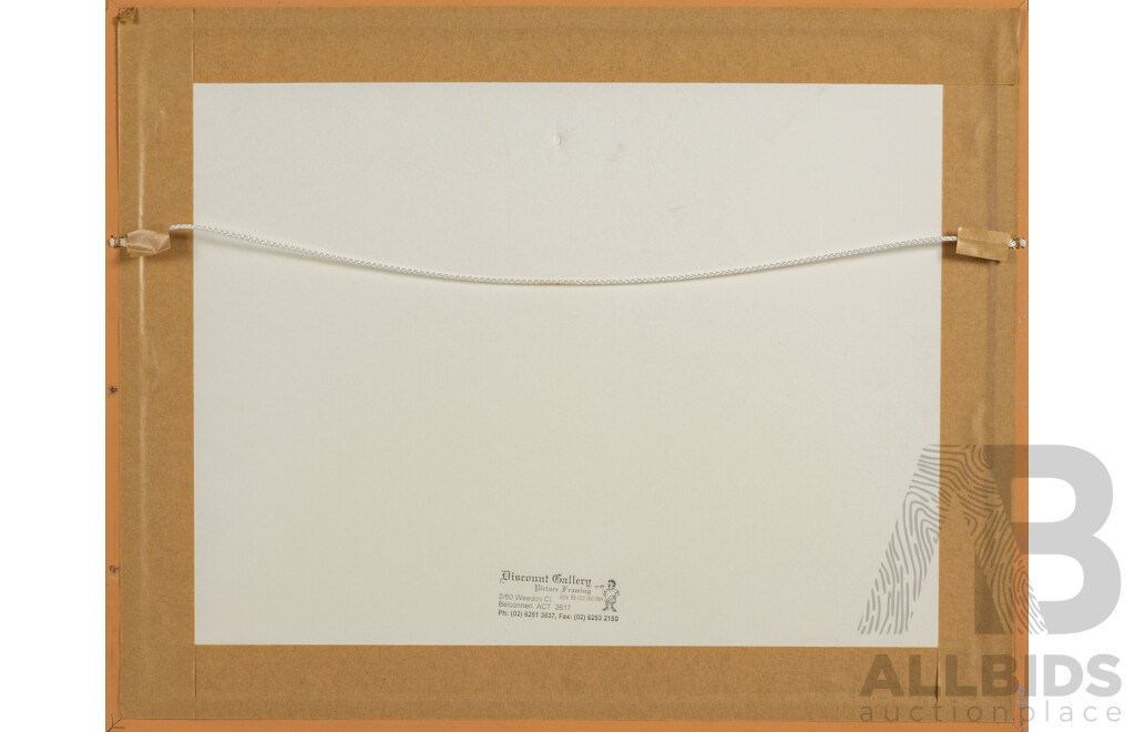 Nell Anderson, (20th Century, Australian), Pelicans, Lovely Original Watercolour and Pen, 35 x 44 cm (frame)