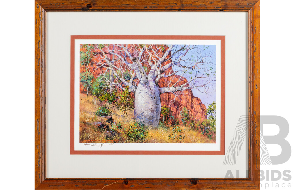 David Byard, (20th Century, Australian, 1943-), Boab Tree, Kimberleys, Western Australia, Quality Signed & Editioned Colour Print, 44 X 52 Cm (frame)