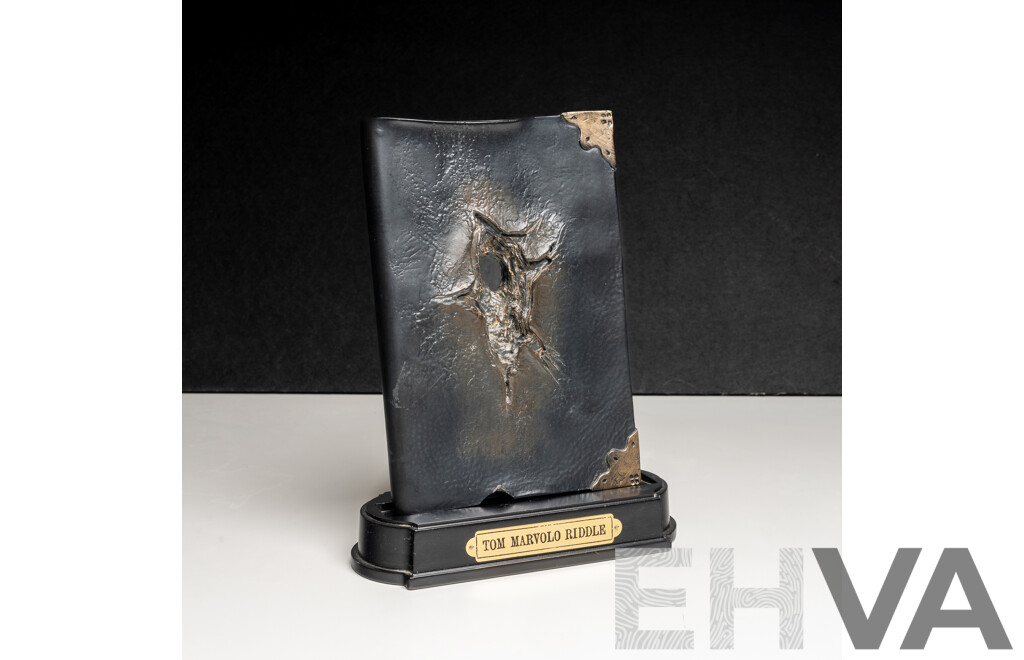 Warner Bros Harry Potter Tom Marvolo Riddle Diary