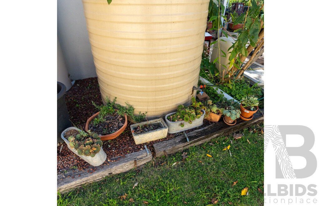 Collection of Eight Potted Succulents in Various Planters